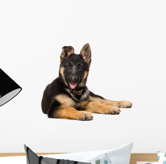 Portrait Curious German Shepherd Wall Decal