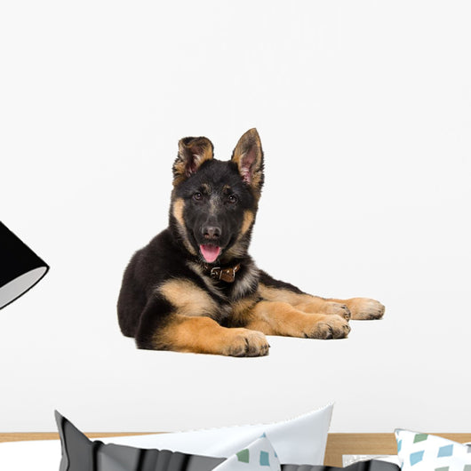 Portrait Curious German Shepherd Wall Decal
