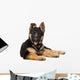 Portrait Curious German Shepherd Wall Decal
