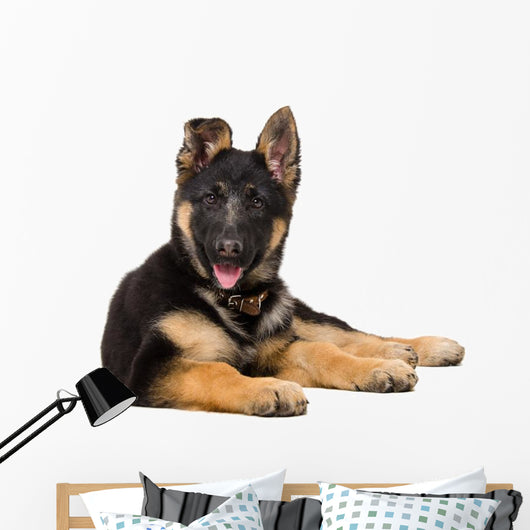 Portrait Curious German Shepherd Wall Decal