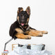 Portrait Curious German Shepherd Wall Decal