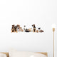 Kitten and Puppy Playing Wall Decal Panoramic Wall Decal
