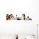 Kitten and Puppy Playing Wall Decal Panoramic Wall Decal