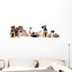 Kitten and Puppy Playing Wall Decal Panoramic Wall Decal