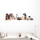 Kitten and Puppy Playing Wall Decal Panoramic Wall Decal