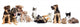Kitten and Puppy Playing Wall Decal Panoramic Wall Decal
