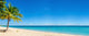 Exotic Beach with Gold Wall Decal
