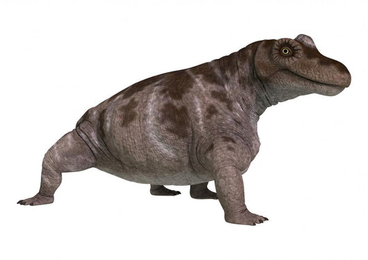 Dinosaur Keratocephalus Wall Decal Design 7