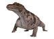 Dinosaur Keratocephalus Wall Decal Design 6