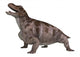 Dinosaur Keratocephalus Wall Decal Design 5