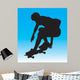 Skater Air Wall Mural