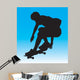 Skater Air Wall Mural