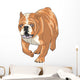 English Bulldog Wall Decal