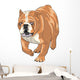 English Bulldog Wall Decal