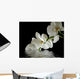 Orchid Flower Reflection Wall Decal