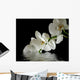 Orchid Flower Reflection Wall Decal