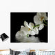 Orchid Flower Reflection Wall Decal