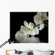 Orchid Flower Reflection Wall Decal
