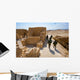 Masada Israel Wall Decal Design 2