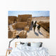Masada Israel Wall Decal Design 2