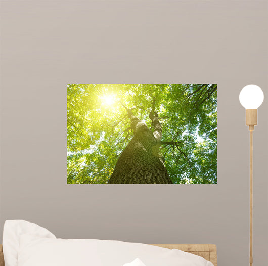 Forest Trees Wall Decal