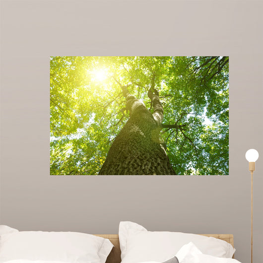 Forest Trees Wall Decal