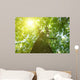 Forest Trees Wall Decal
