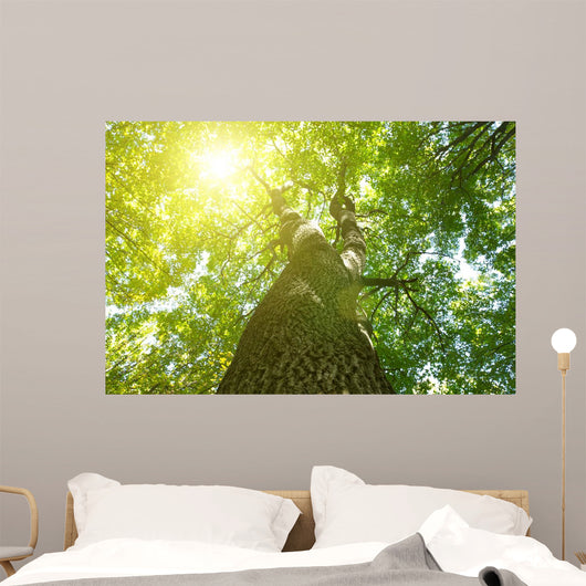 Forest Trees Wall Decal