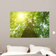 Forest Trees Wall Decal