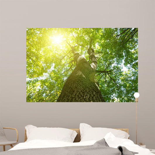 Forest Trees Wall Decal