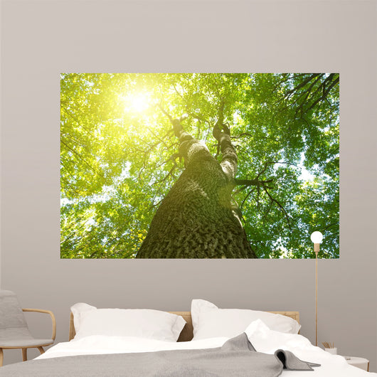 Forest Trees Wall Decal