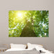 Forest Trees Wall Decal