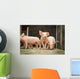Schweinestall Neugierige Ferkel Laufen Wall Decal