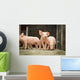 Schweinestall Neugierige Ferkel Laufen Wall Decal
