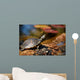 Turtle Sitting Log Swamp Wall Decal