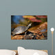 Turtle Sitting Log Swamp Wall Decal