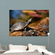 Turtle Sitting Log Swamp Wall Decal