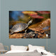 Turtle Sitting Log Swamp Wall Decal