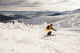 Man Snow Skiing against Wall Decal Design 1