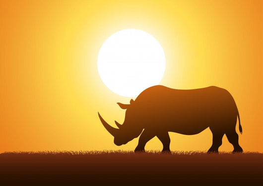 Rhinoceros Silhouette Wall Decal Design 2
