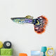 Guppy Fish Poecilia Reticulata Wall Decal Design 1