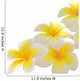 Frangipani Flower White Wall Decal