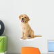 Golden Retriever Dog Sitting Wall Decal