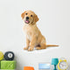 Golden Retriever Dog Sitting Wall Decal