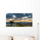 Skies Africa Wall Decal