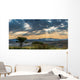 Skies Africa Wall Decal