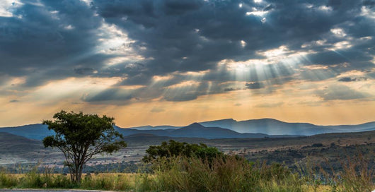 Skies Africa Wall Decal