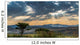 Skies Africa Wall Decal