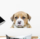Pit Bull Puppy Dog Wall Decal