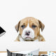 Pit Bull Puppy Dog Wall Decal